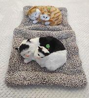 "Кошка с котенком" во Ртищево